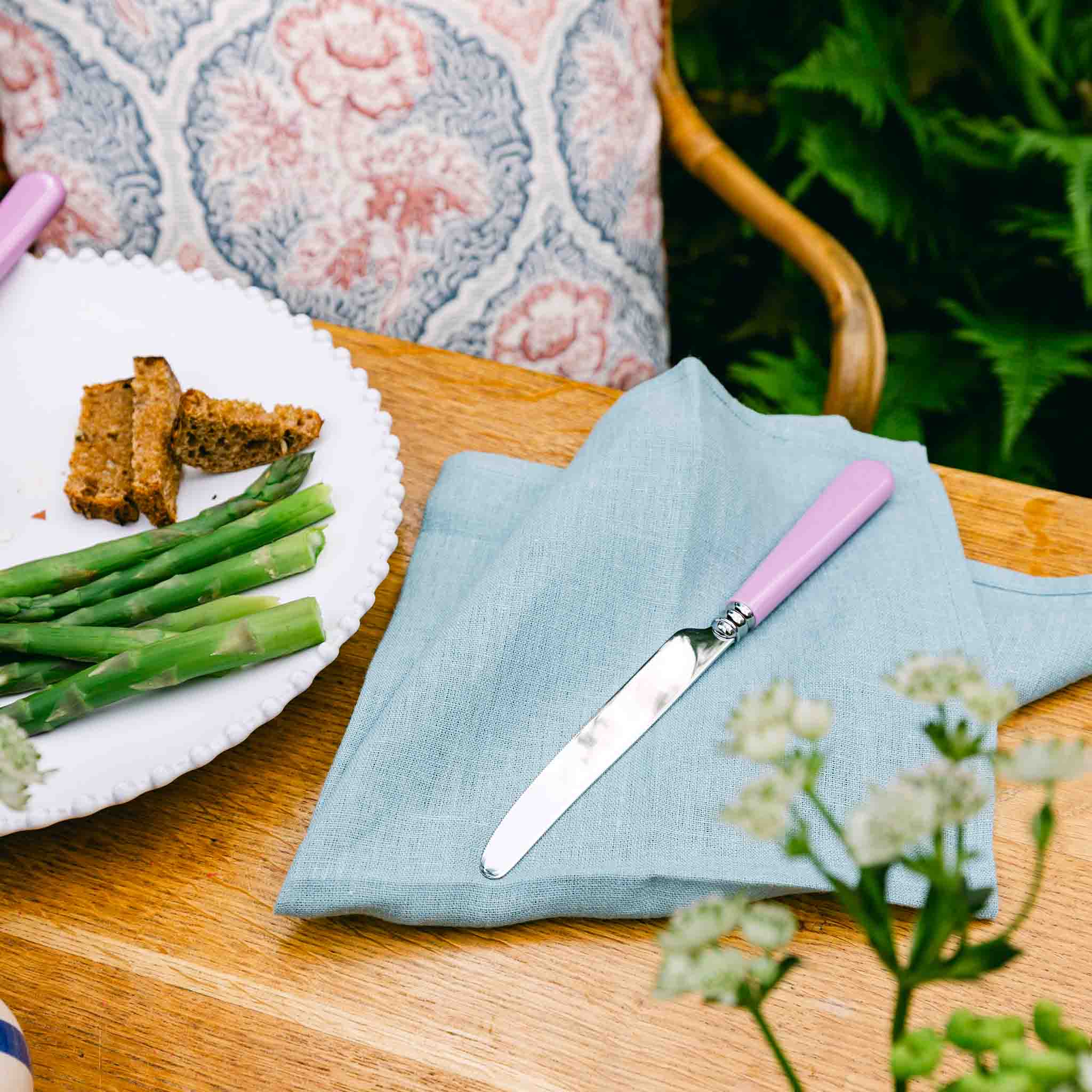 Altea Dinner Knife (French Blade) Capdeco