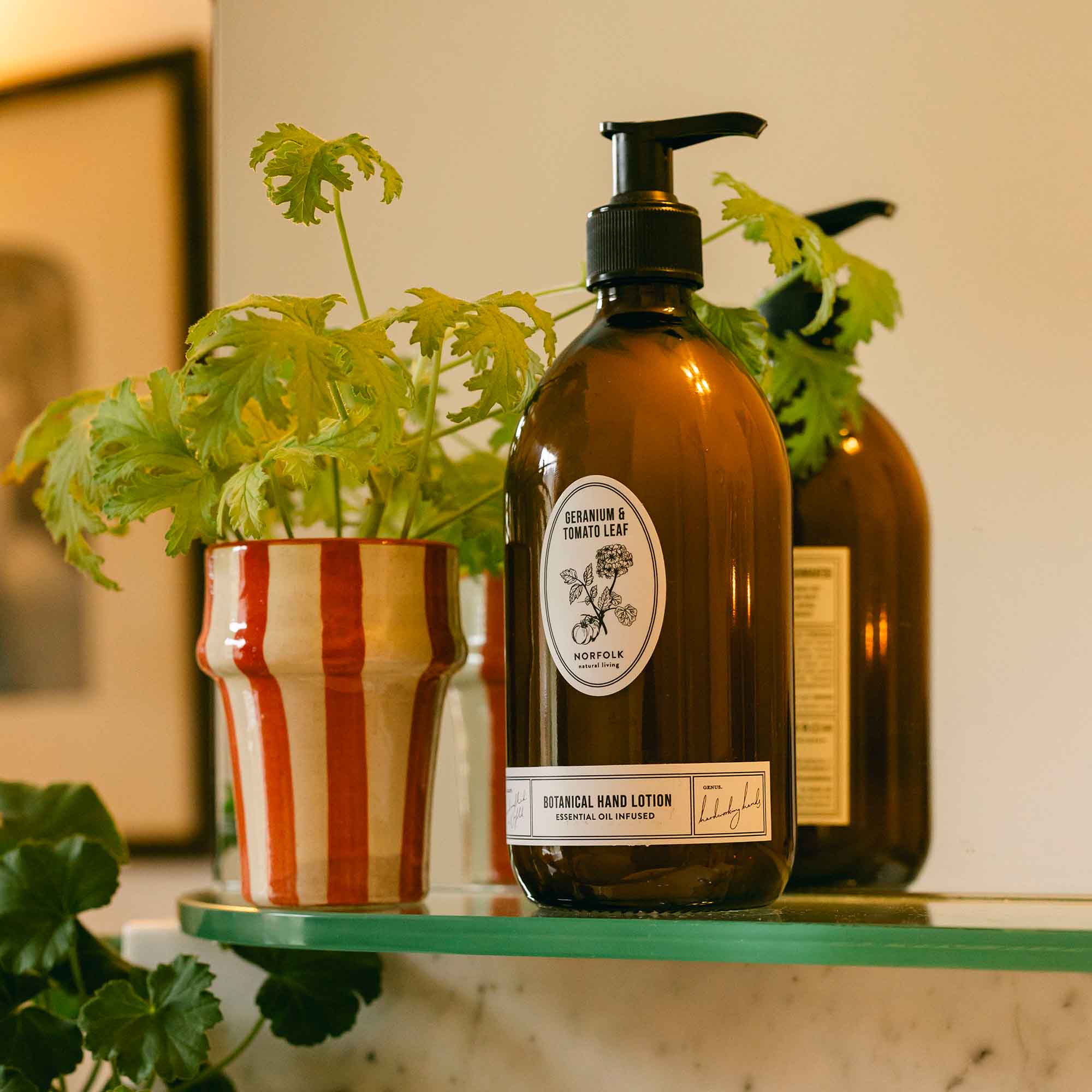 Gardener’s Hand Lotion Norfolk Natural Living