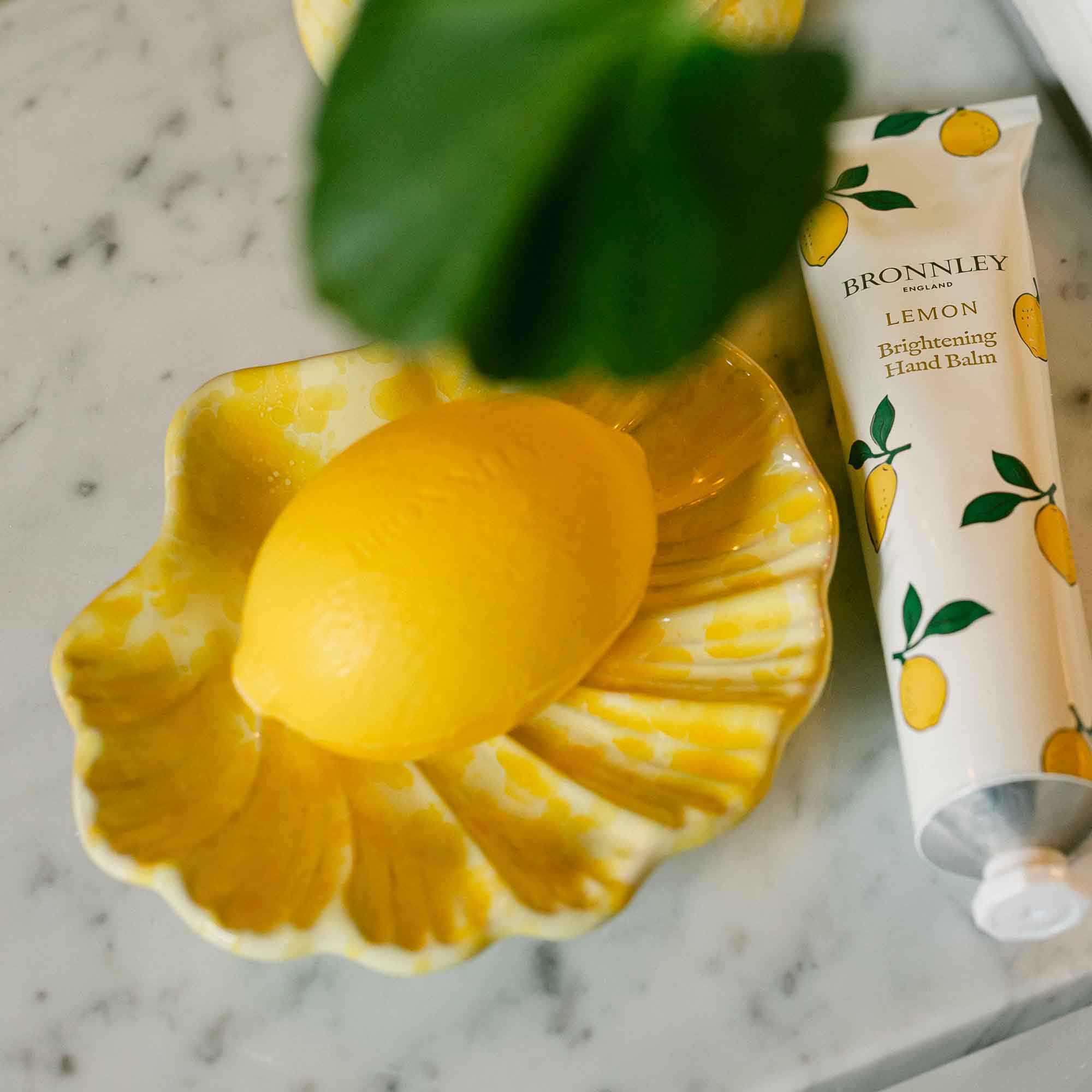 Single Lemon Soap