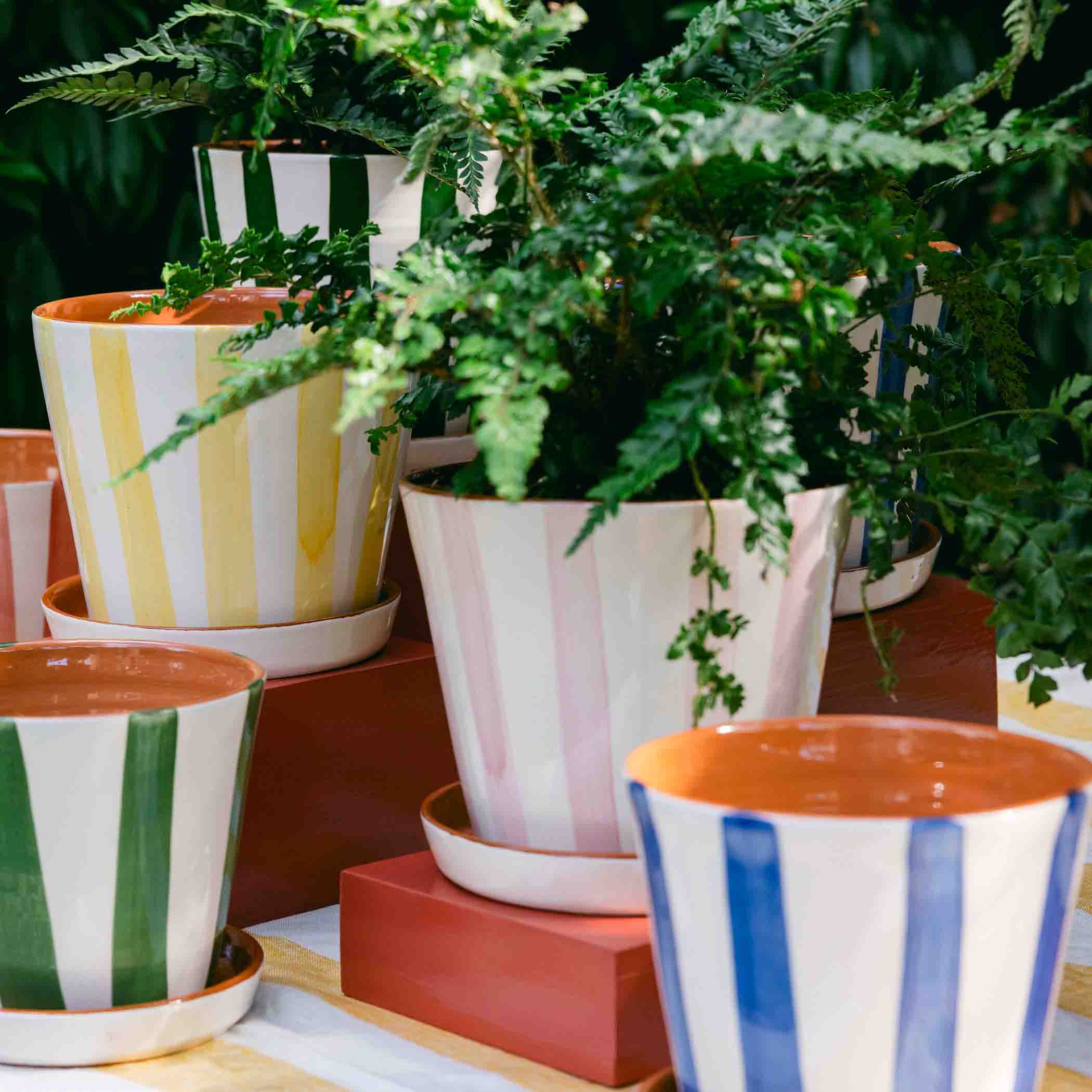 Striped Planter with Saucer