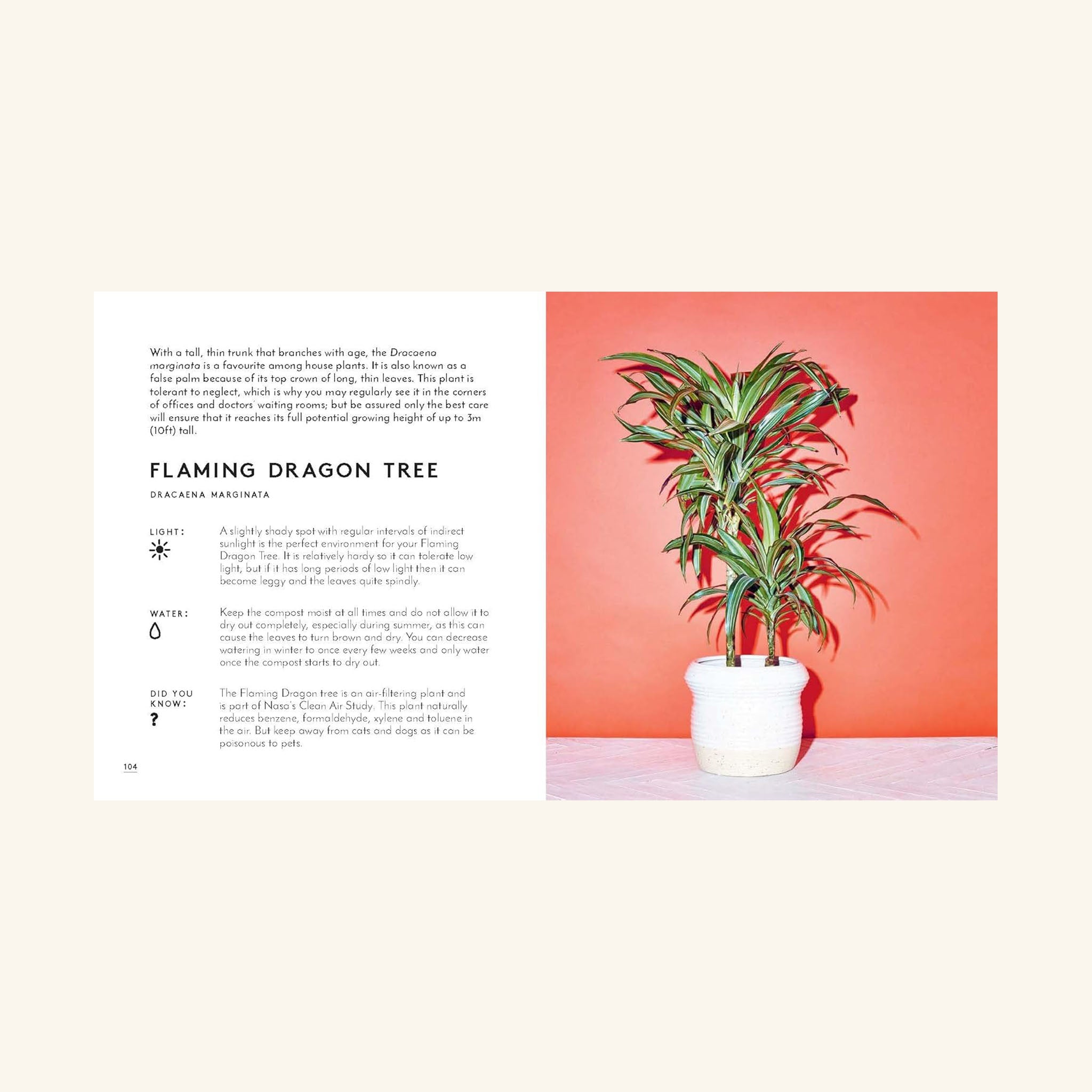 The Little Book of House Plants and Other Greenery