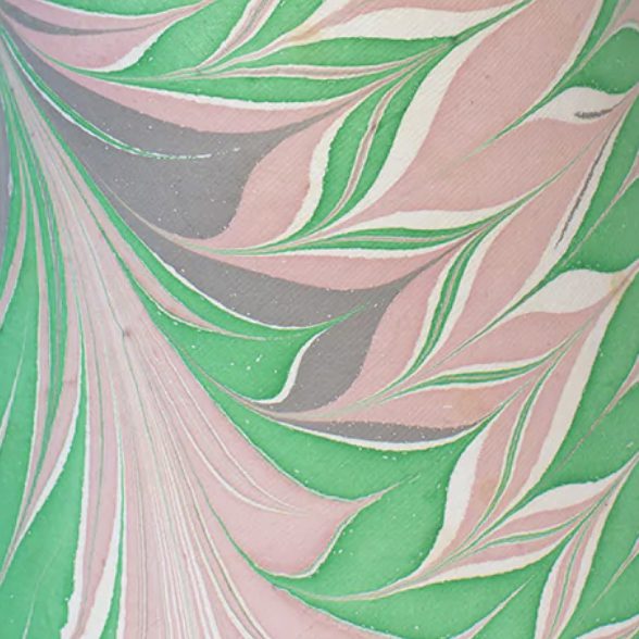 Pink and Green Star Anise