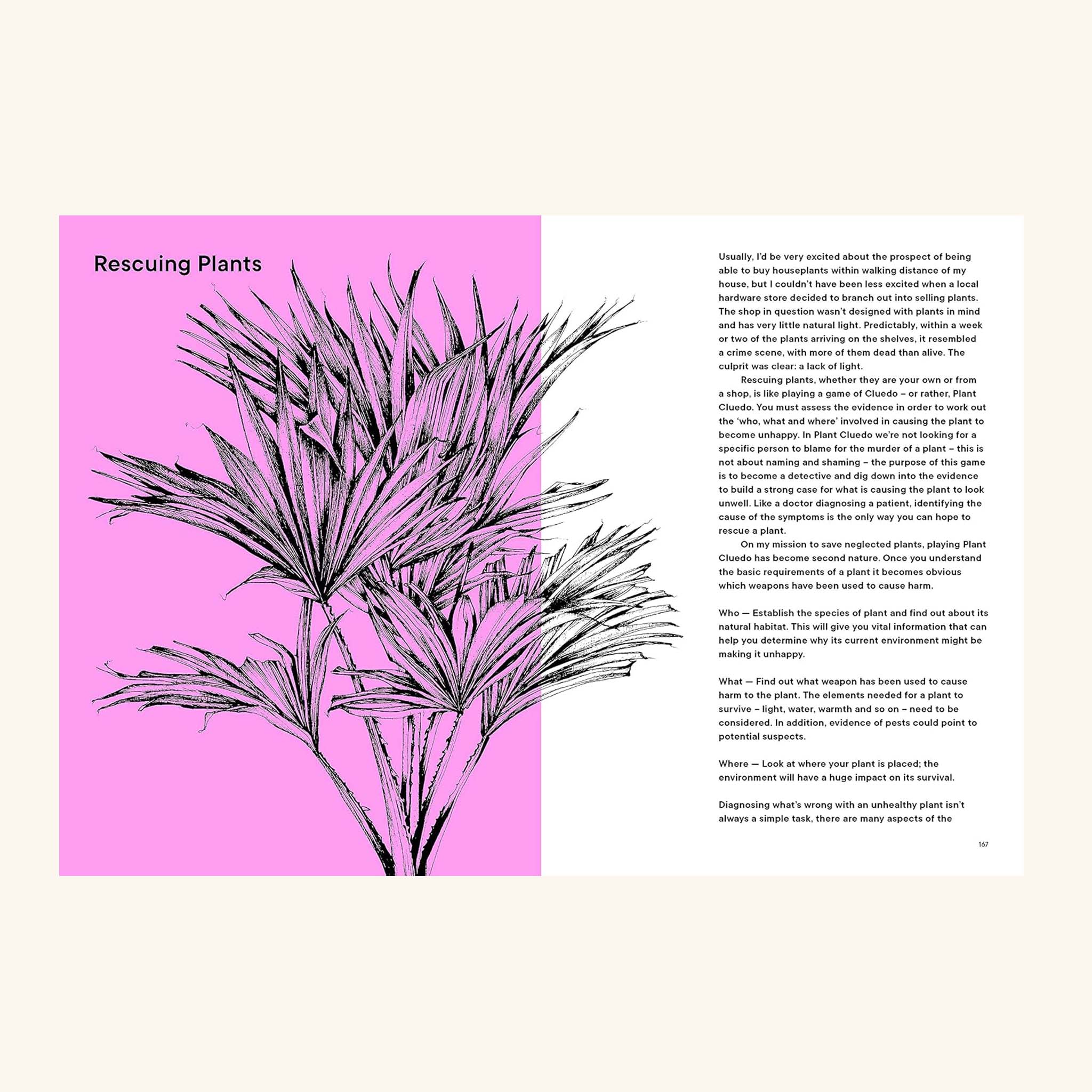 The Plant Rescuer Sarah Gerrard-Jones