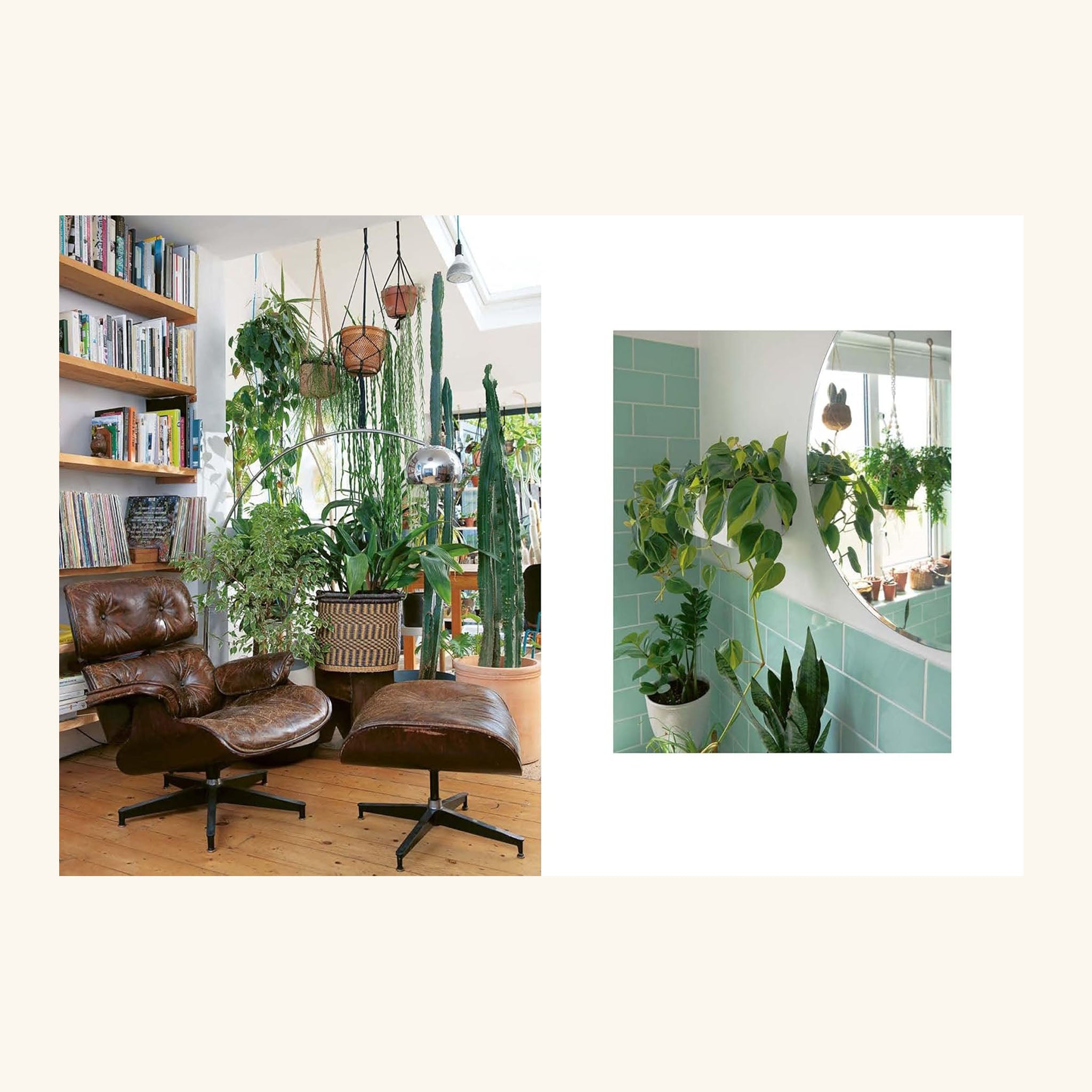 The Plant Rescuer Sarah Gerrard-Jones