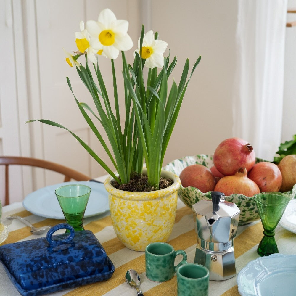 Splatterware Plant Pot