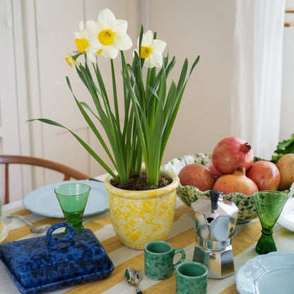 Splatterware Plant Pot