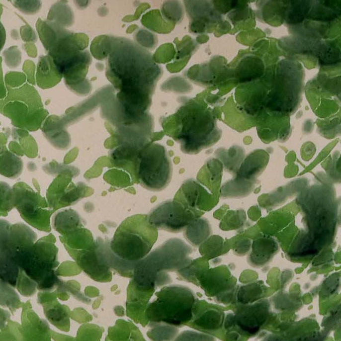 Splatterware Plant Pot