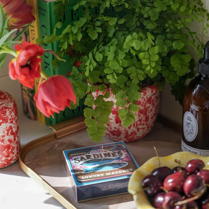 Splatterware Plant Pot