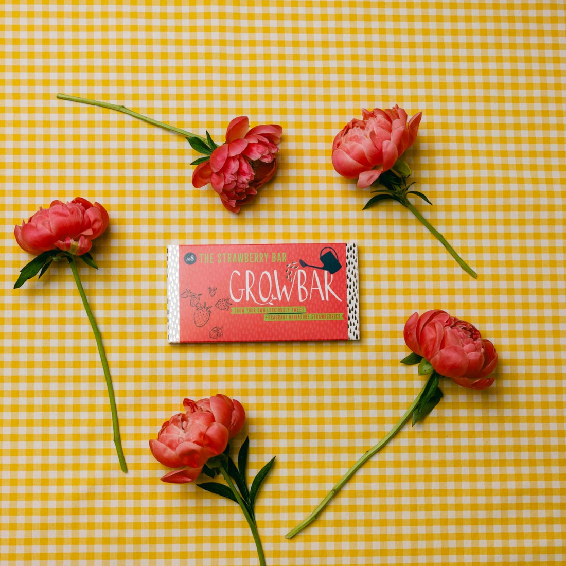 The Wild Strawberry Growbar