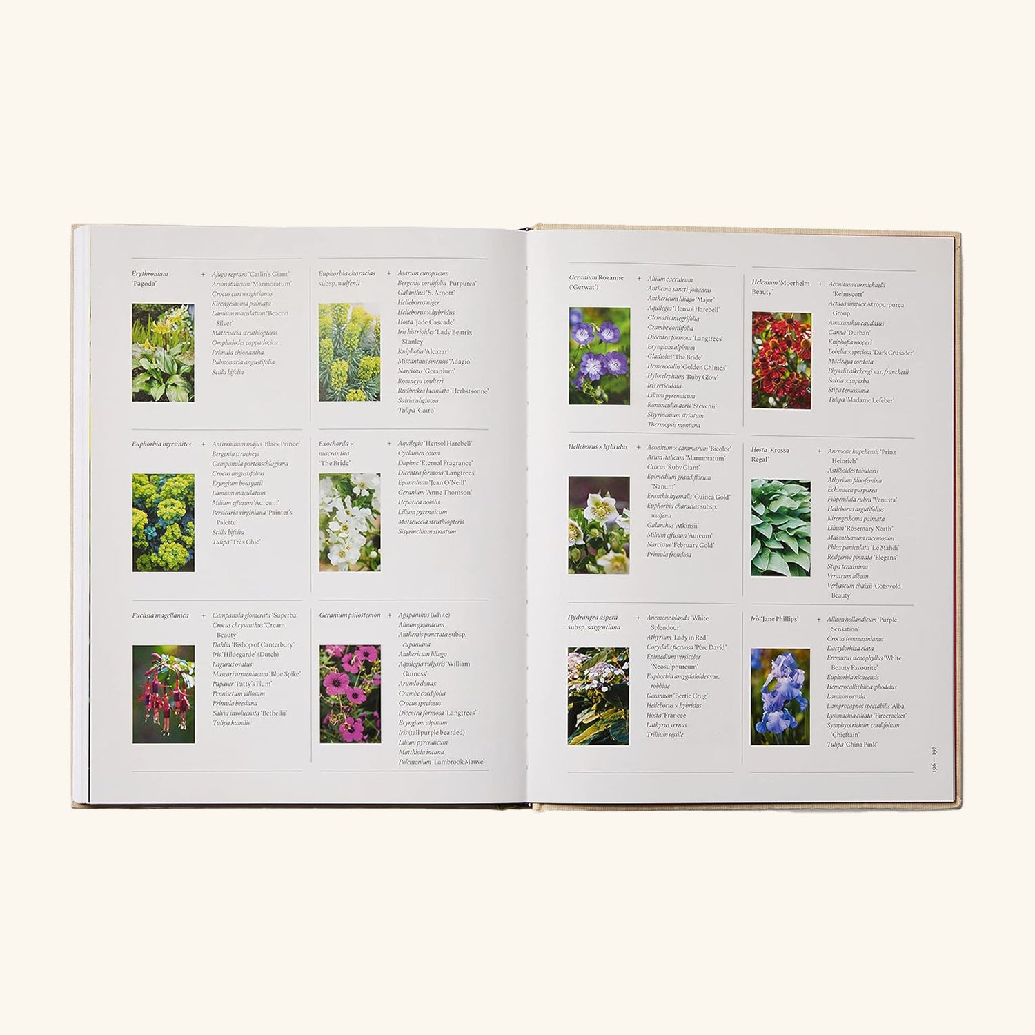 The Seasonal Gardener Anna Pavord