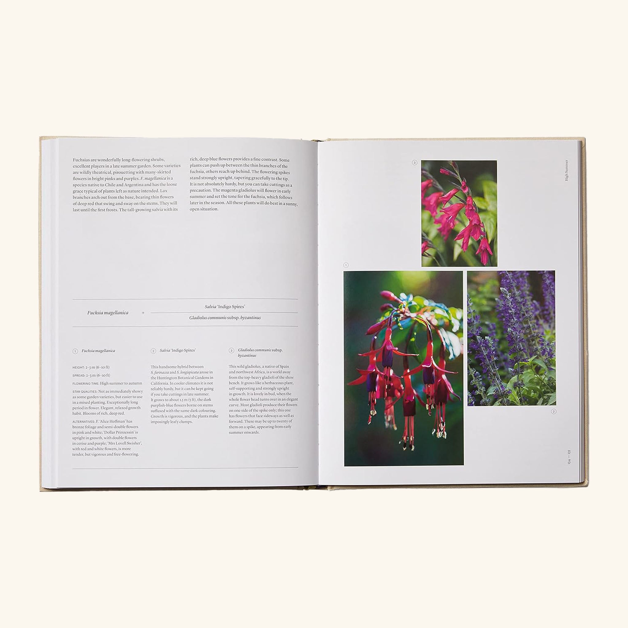 The Seasonal Gardener Anna Pavord