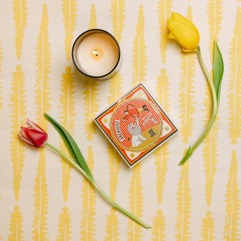 Archivist Matches Archivist