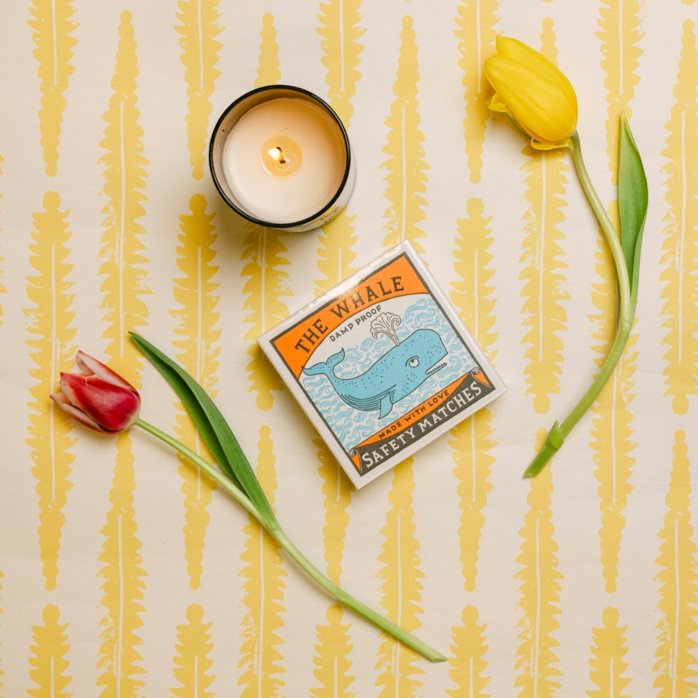 Archivist Matches Archivist