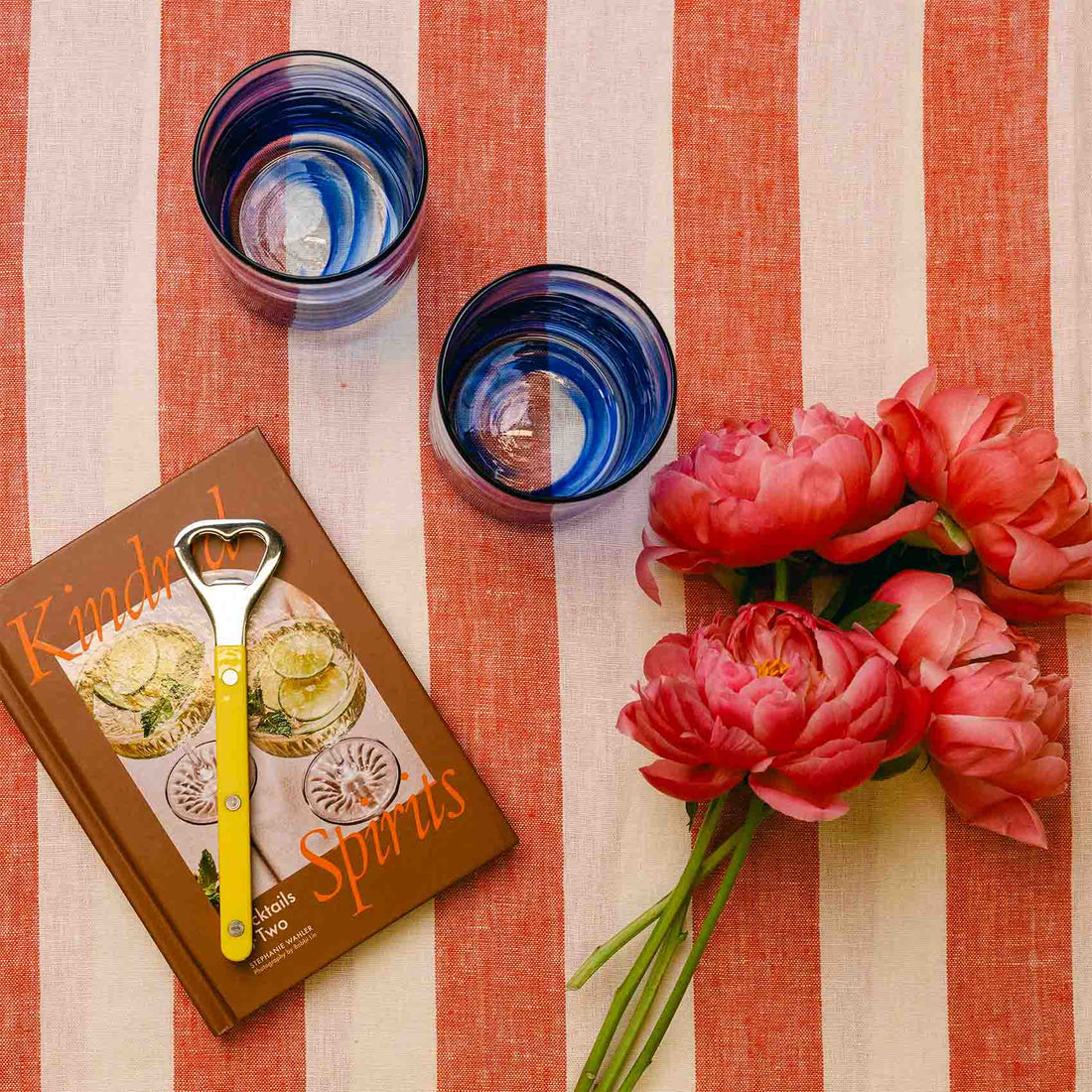 Bottle Opener Bistro Solid
