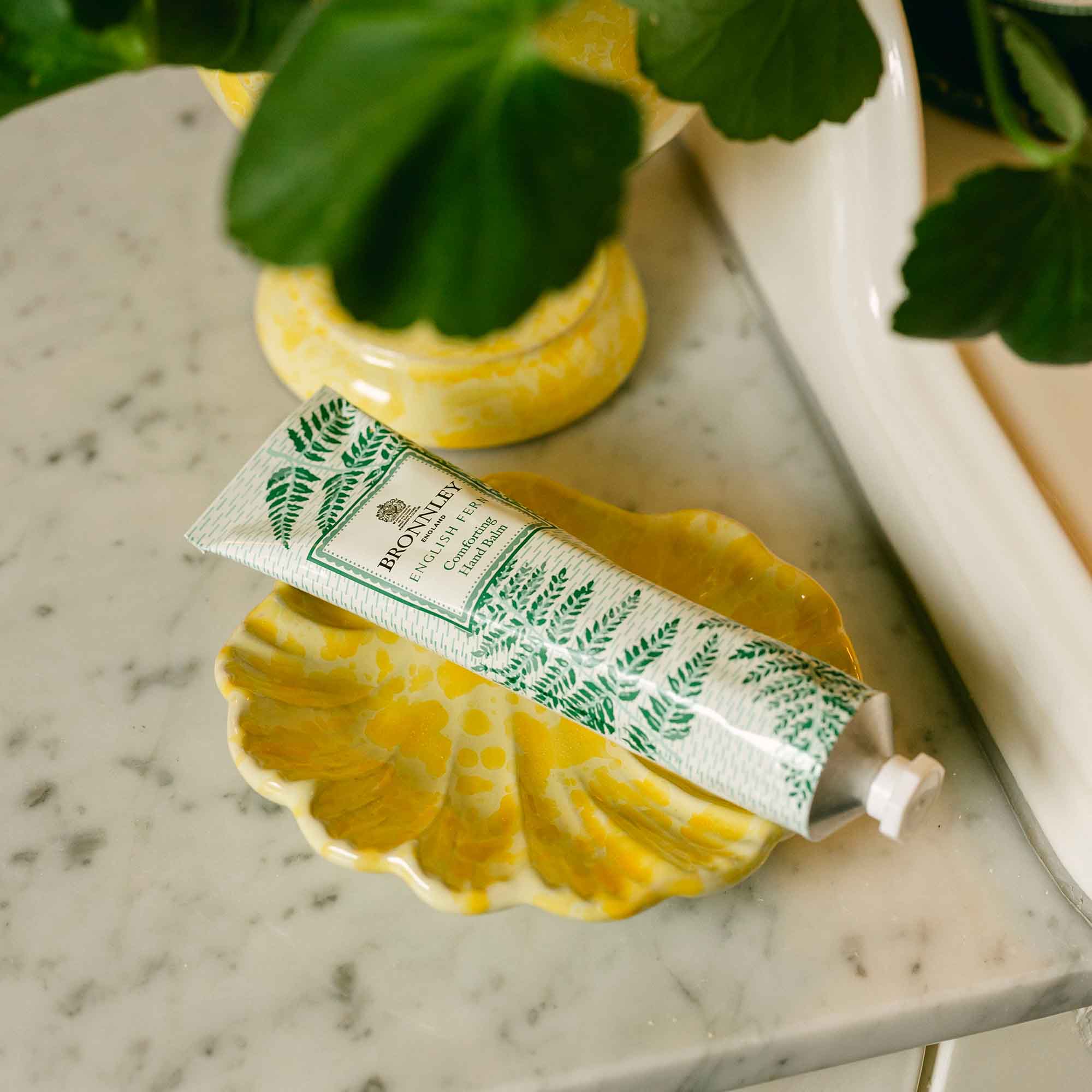 Splatterware Shell Dish LAMP LDN