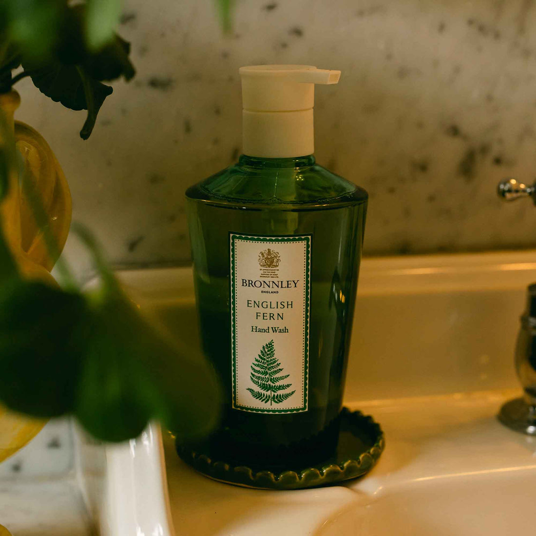 English Fern Hand Wash