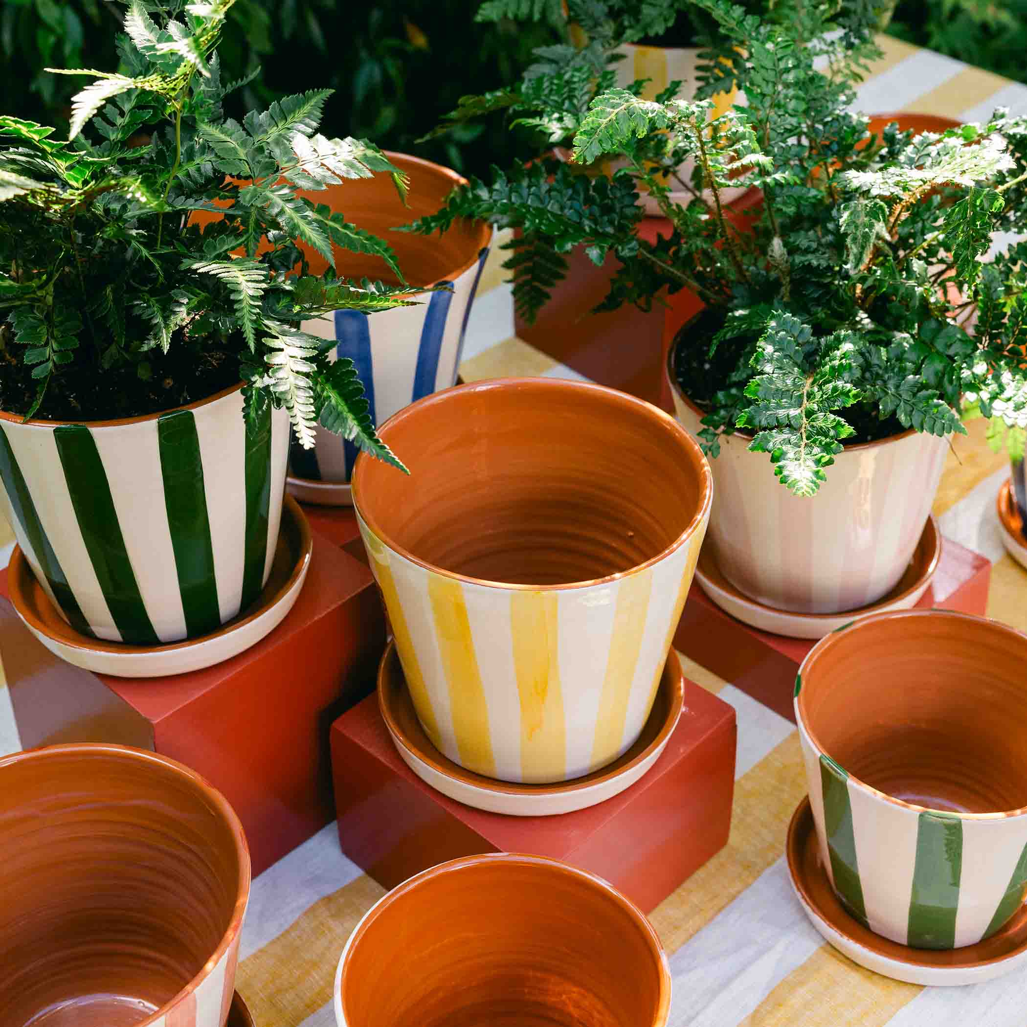 Striped Planter with Saucer