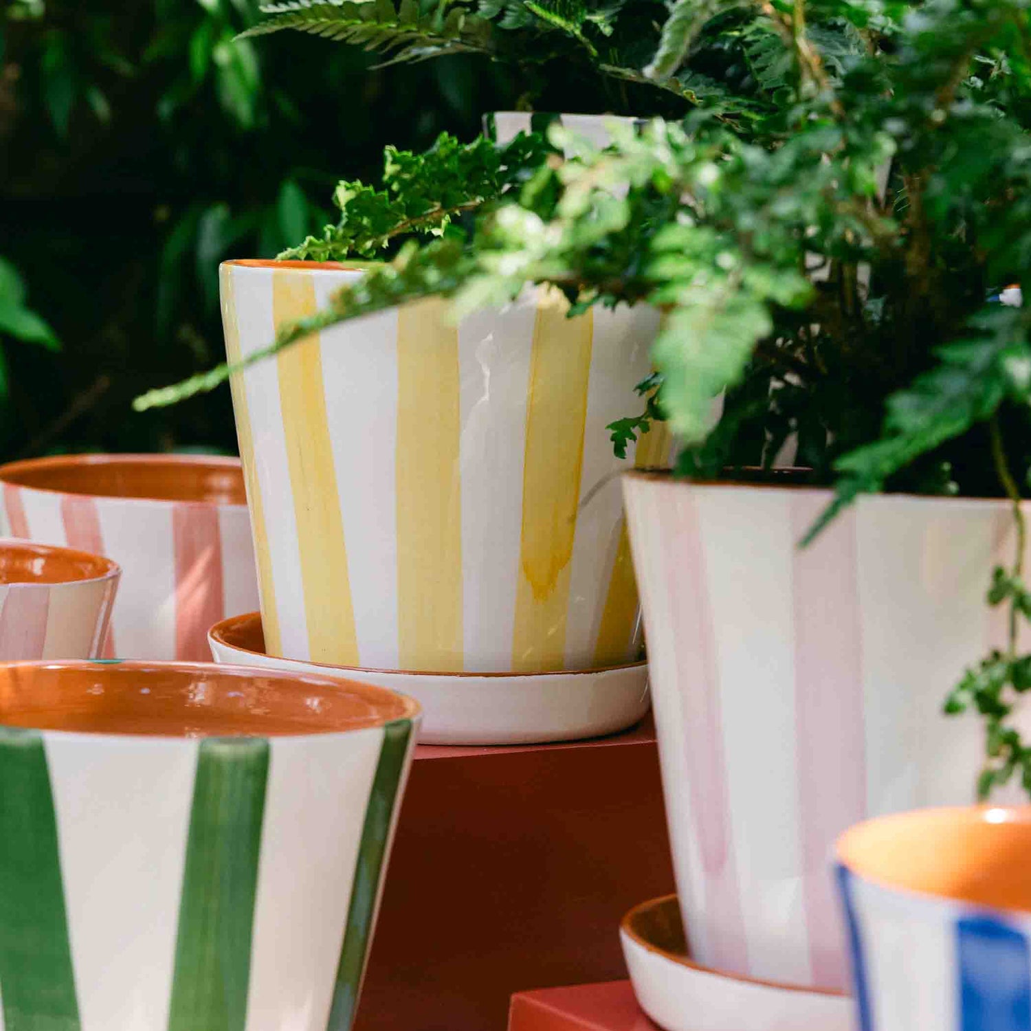 Striped Planter with Saucer