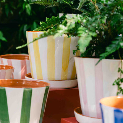 Striped Planter with Saucer