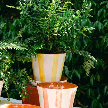 Striped Planter with Saucer