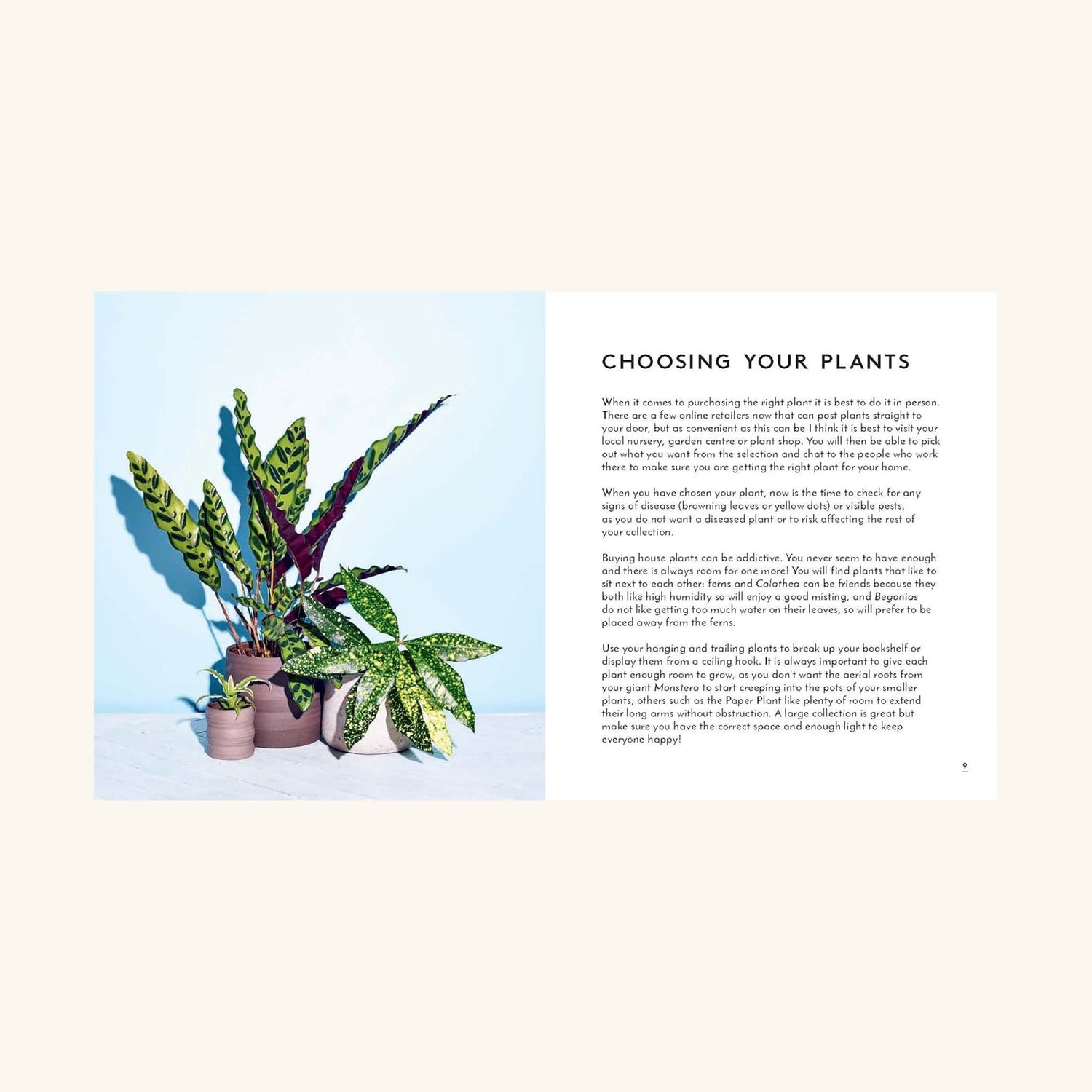 The Little Book of House Plants and Other Greenery