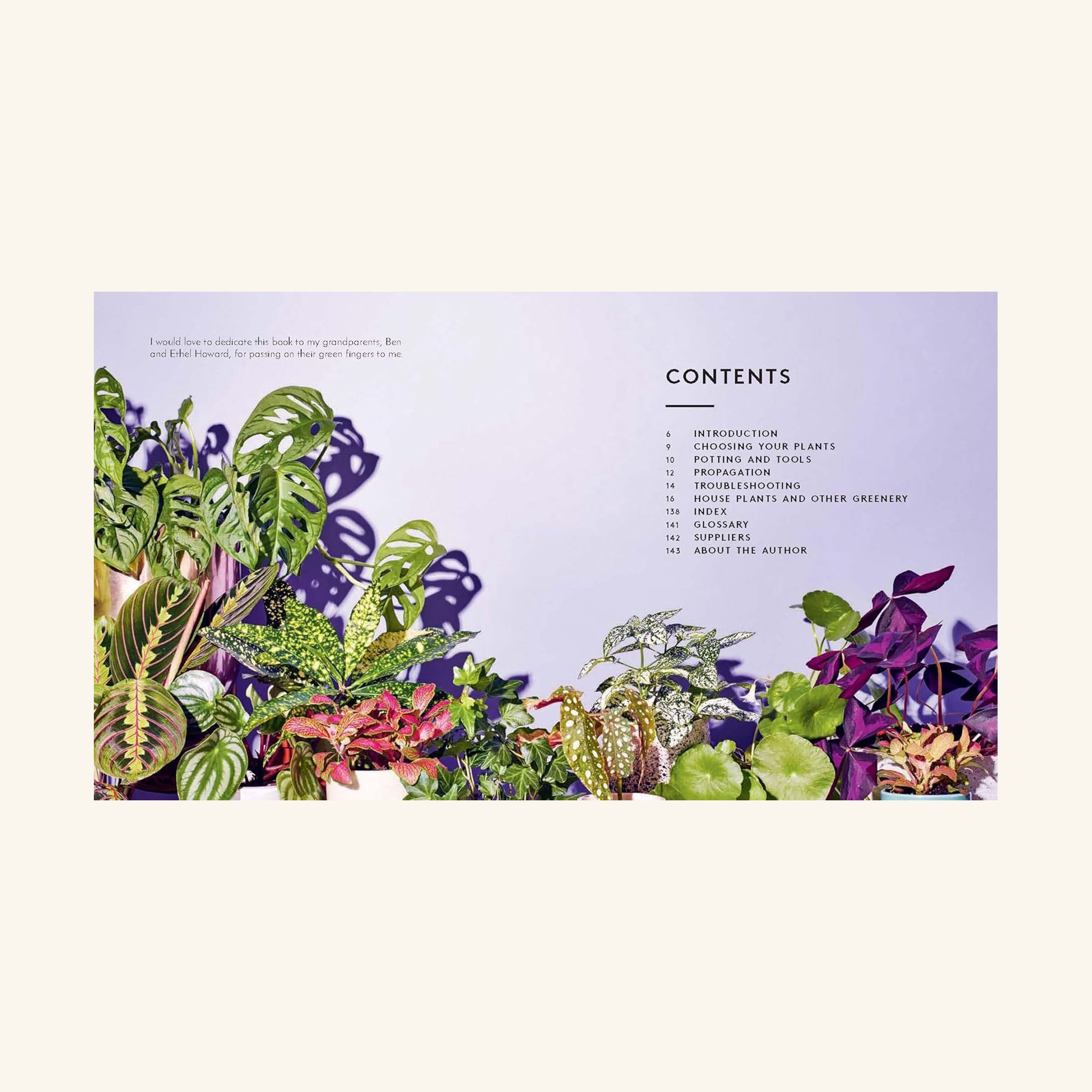 The Little Book of House Plants and Other Greenery