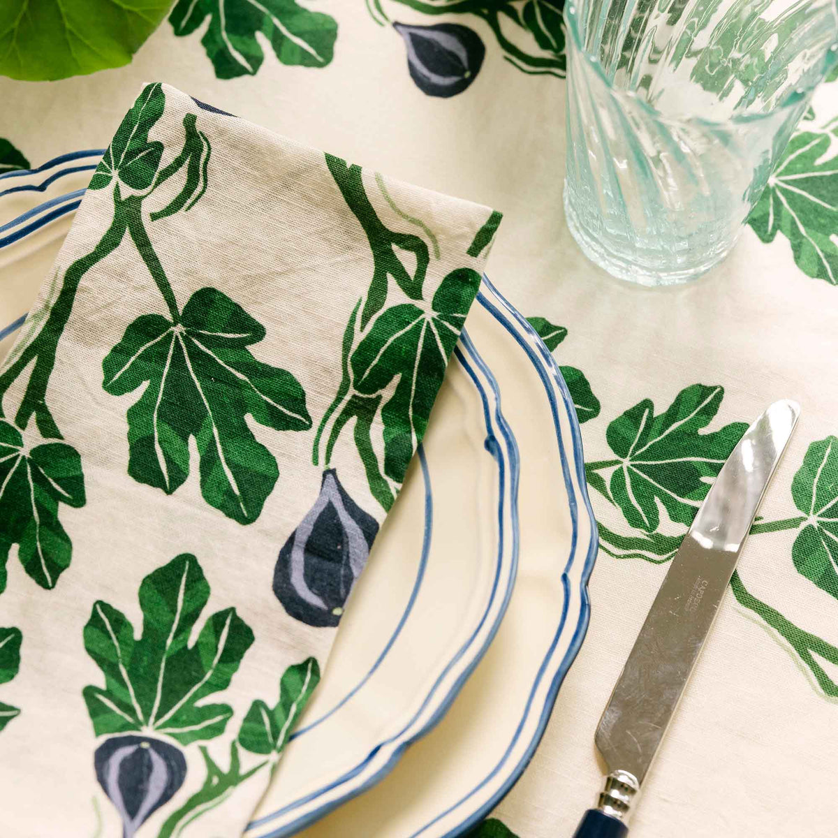 Botanical Striped Napkin - Set of 4