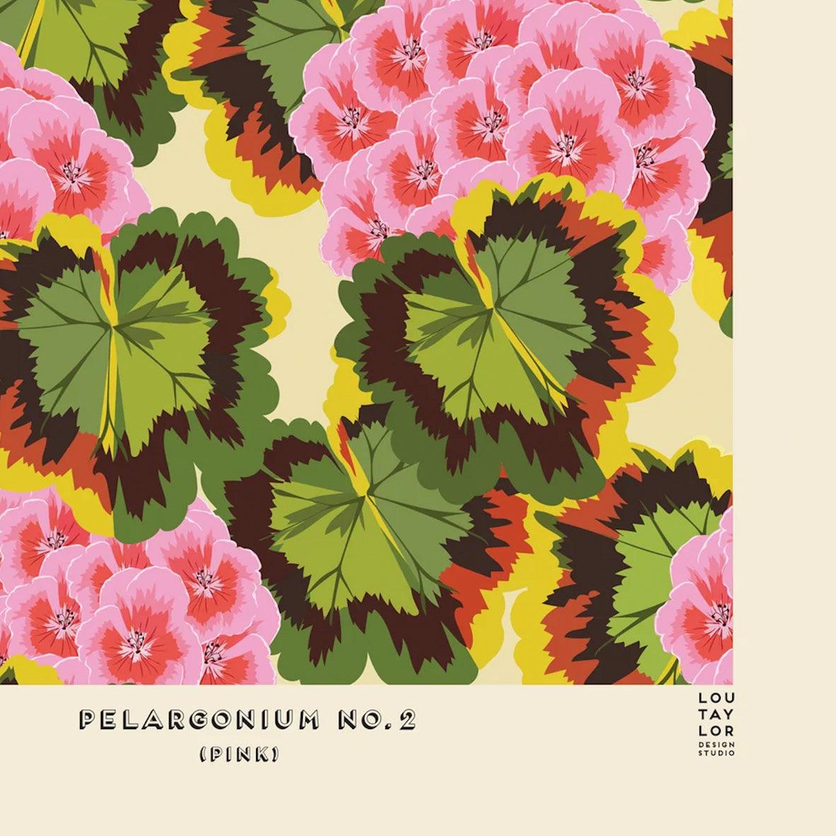 Pelargonium 2 Pink Lou Taylor Design Studio