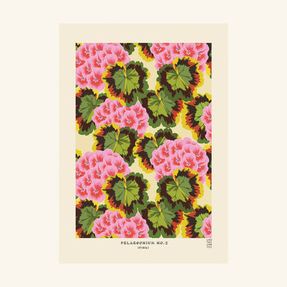Pelargonium 2 Pink Lou Taylor Design Studio