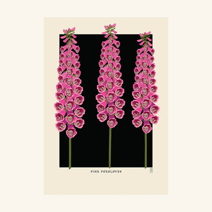 Pink Foxgloves Lou Taylor Design Studio