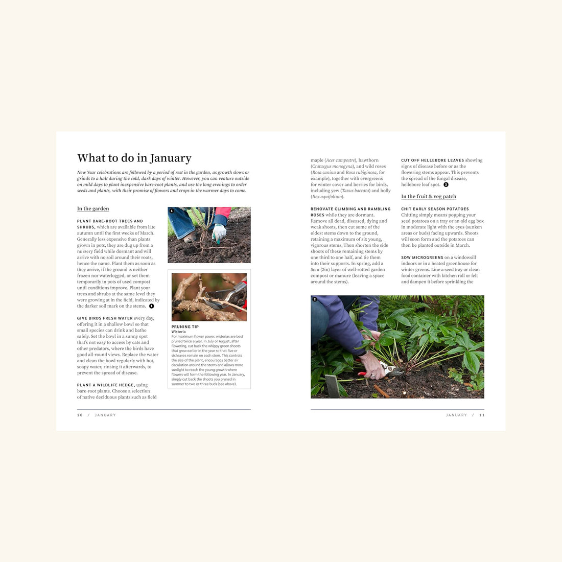 RHS The Garden Almanac 2026