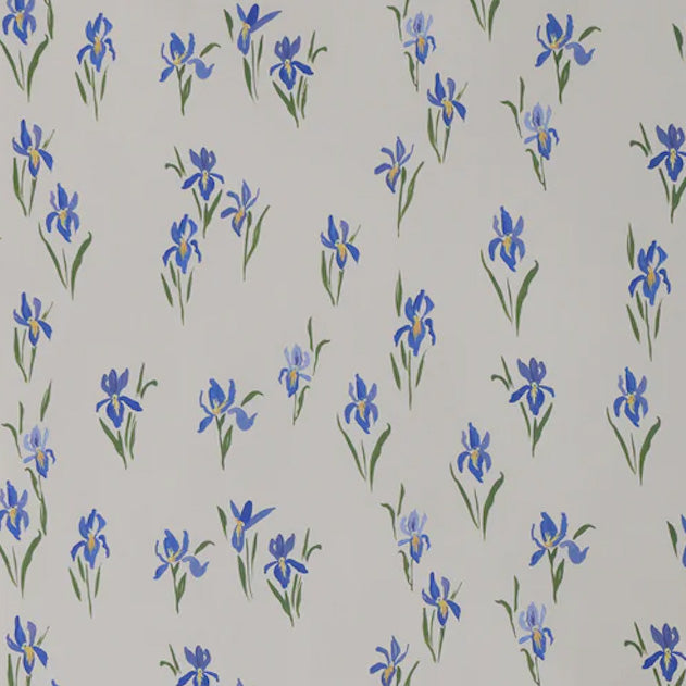 Iris Wallpaper